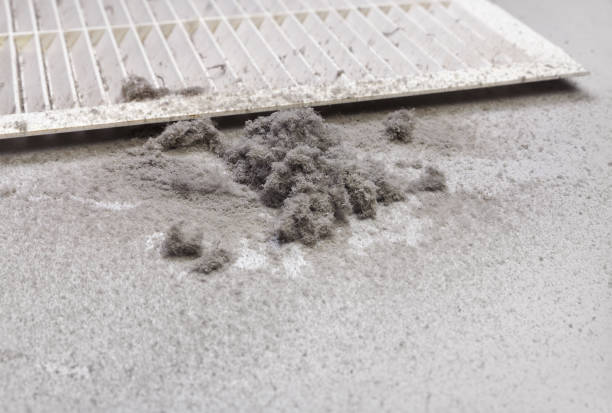Best Air Duct Cleaning Near Me  in Taft Southwest, TX