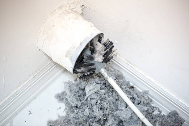 Best Local Air Duct Cleaning Services  in Taft Southwest, TX